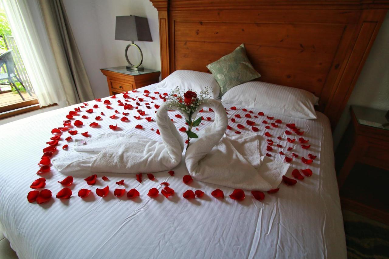 Hotel Concierge Flor Y Canto 迪坡斯特兰 外观 照片
